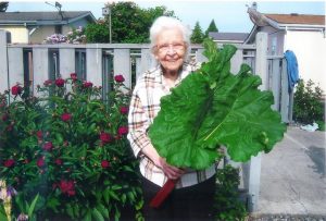 She loved Rhubarb and grew lots of it up in Sequim.